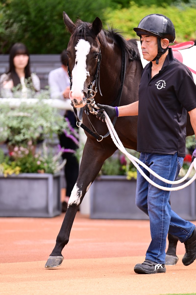 Tomonari Motohashi on X