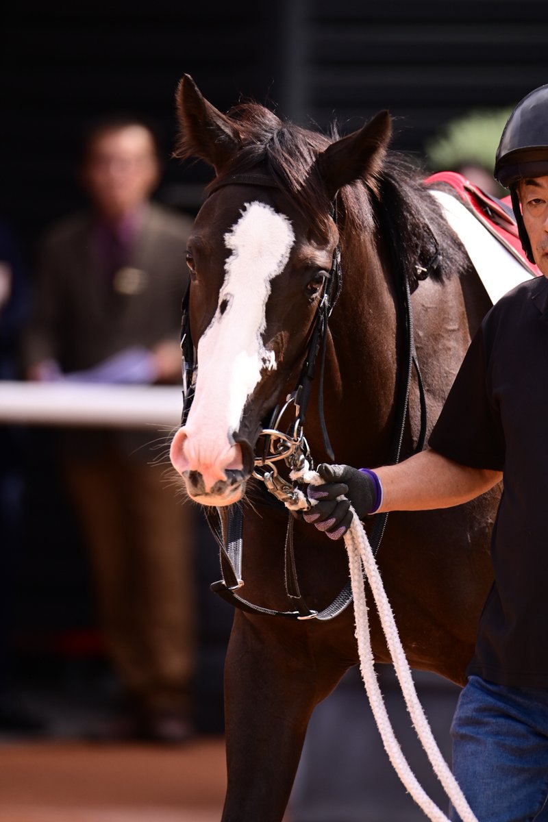 Tomonari Motohashi on X