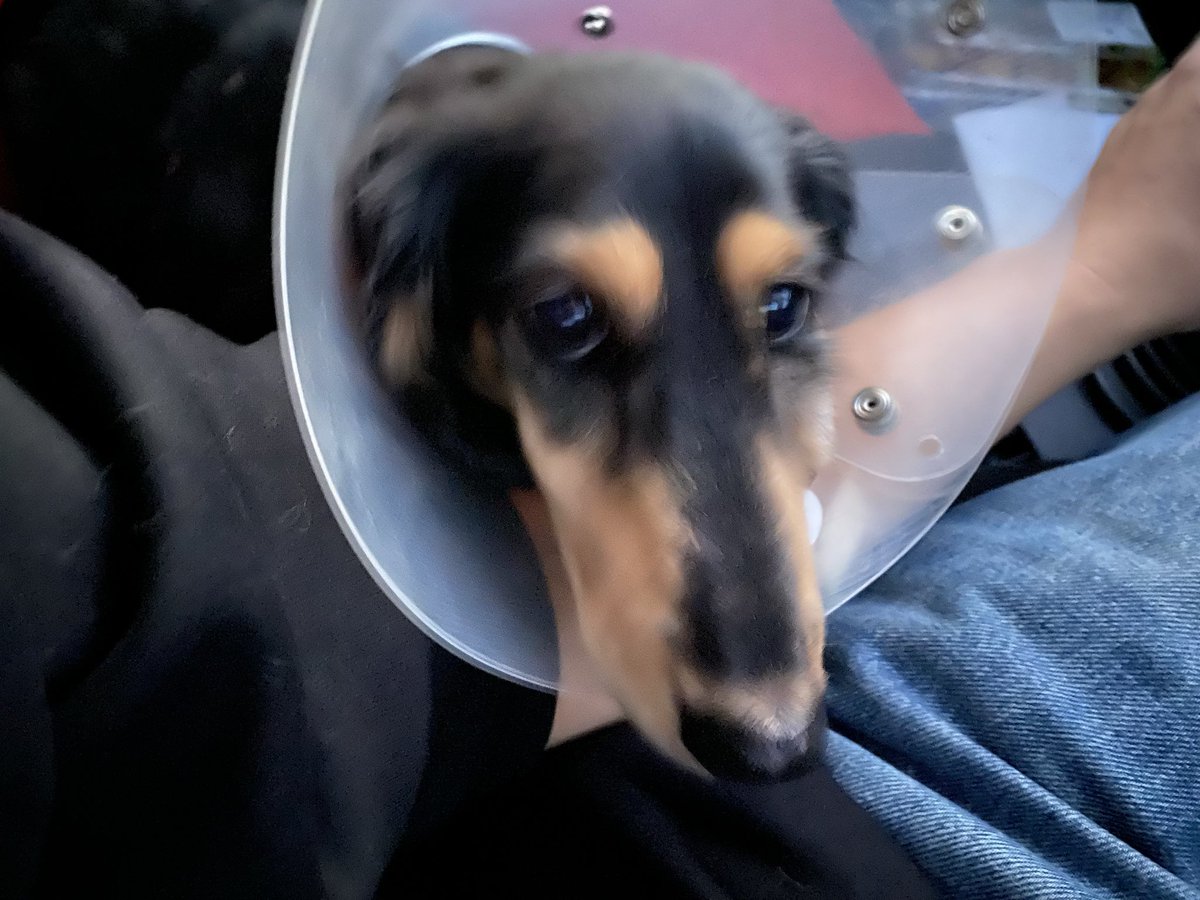 元気でおってくれんと、俺の元気も出ないぞっ！