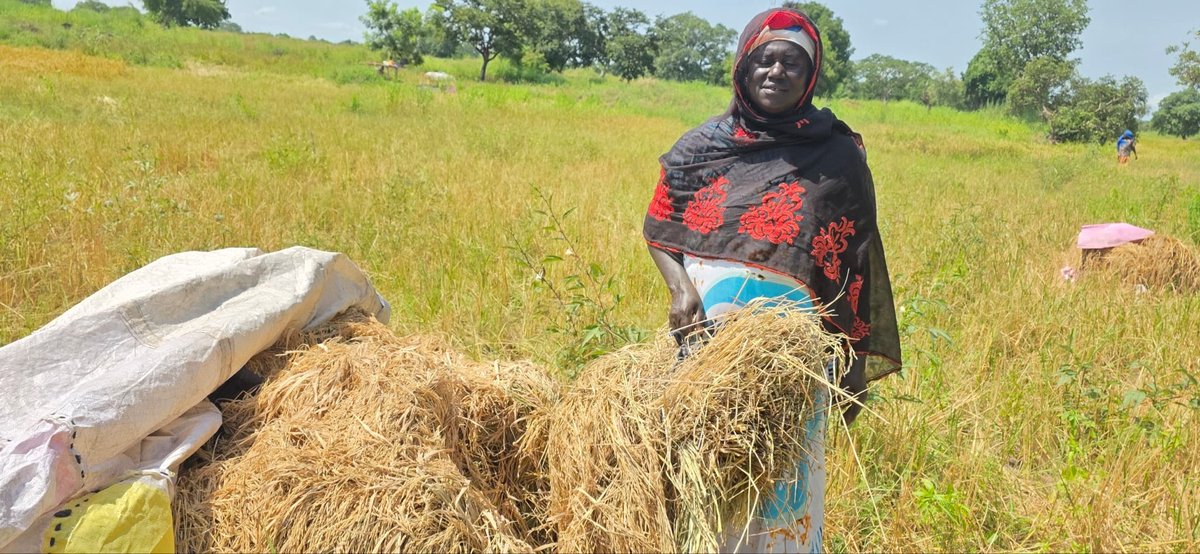 ROOTS project Gambia tweet media