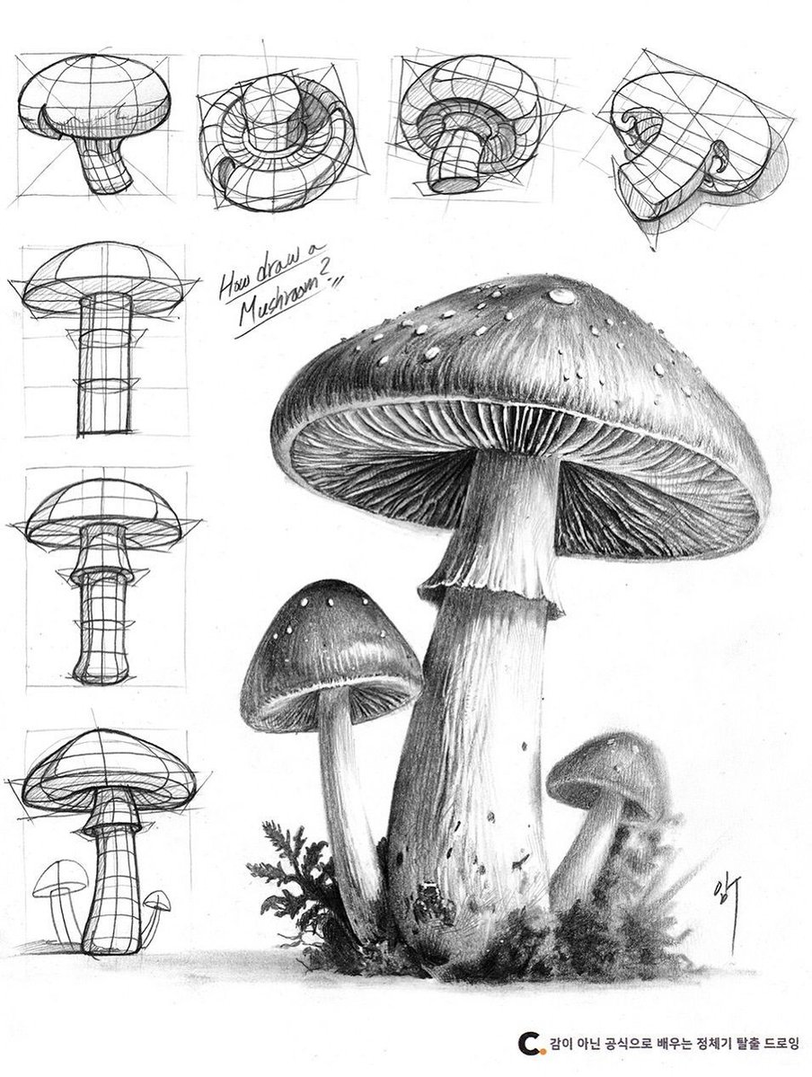 Cubebrush's tweet image. Drawn studies by Miracle.limt
Support the artist buff.ly/UdeZbKN
#digitalart #arttutorial #howtodraw #fantasyart #artclass #photoshop #art #artwork #speedpaint #artist #design #tutorial