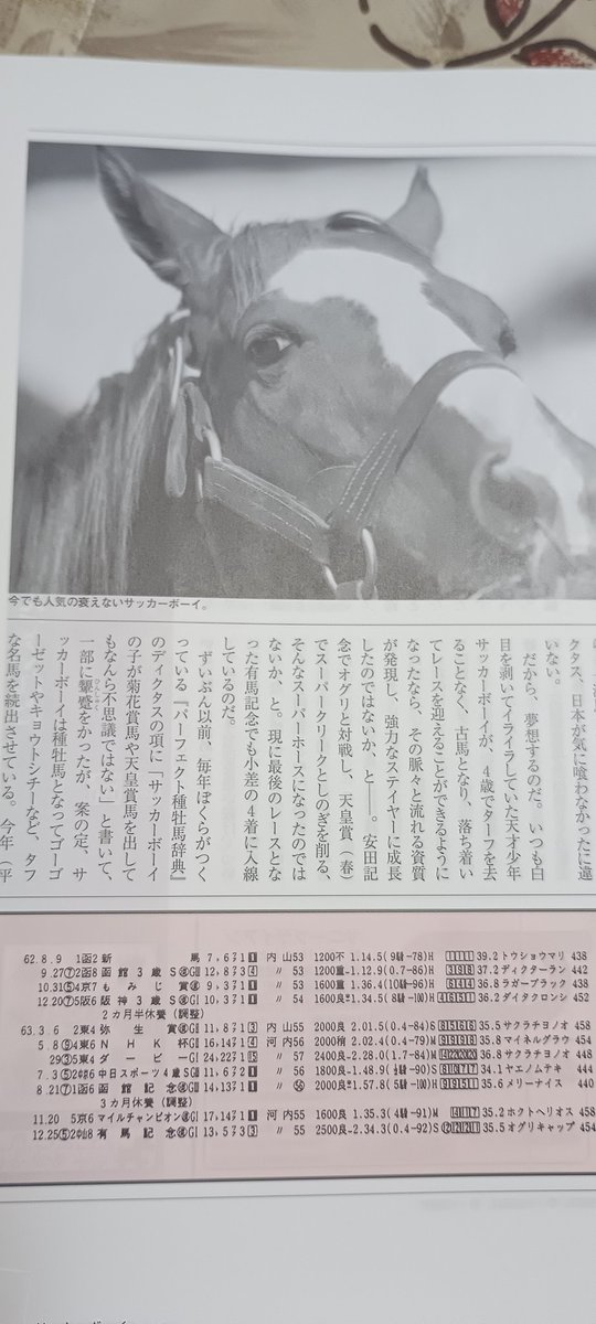 サッカーボーイ