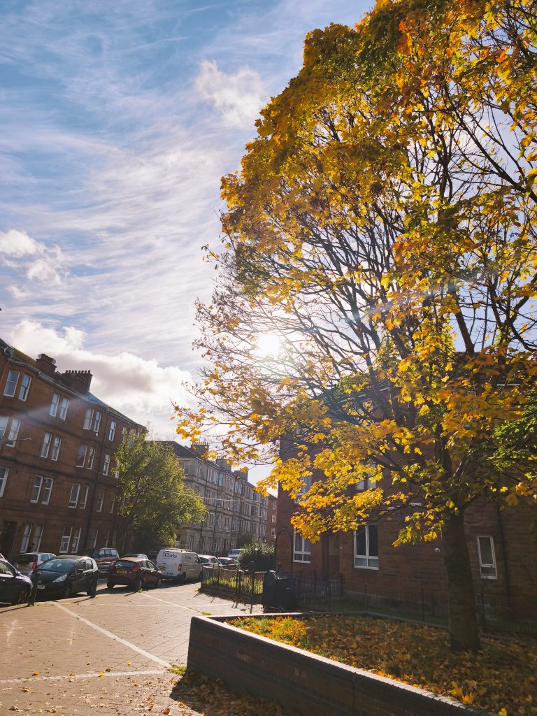 Late Morning and Sunny 🌞