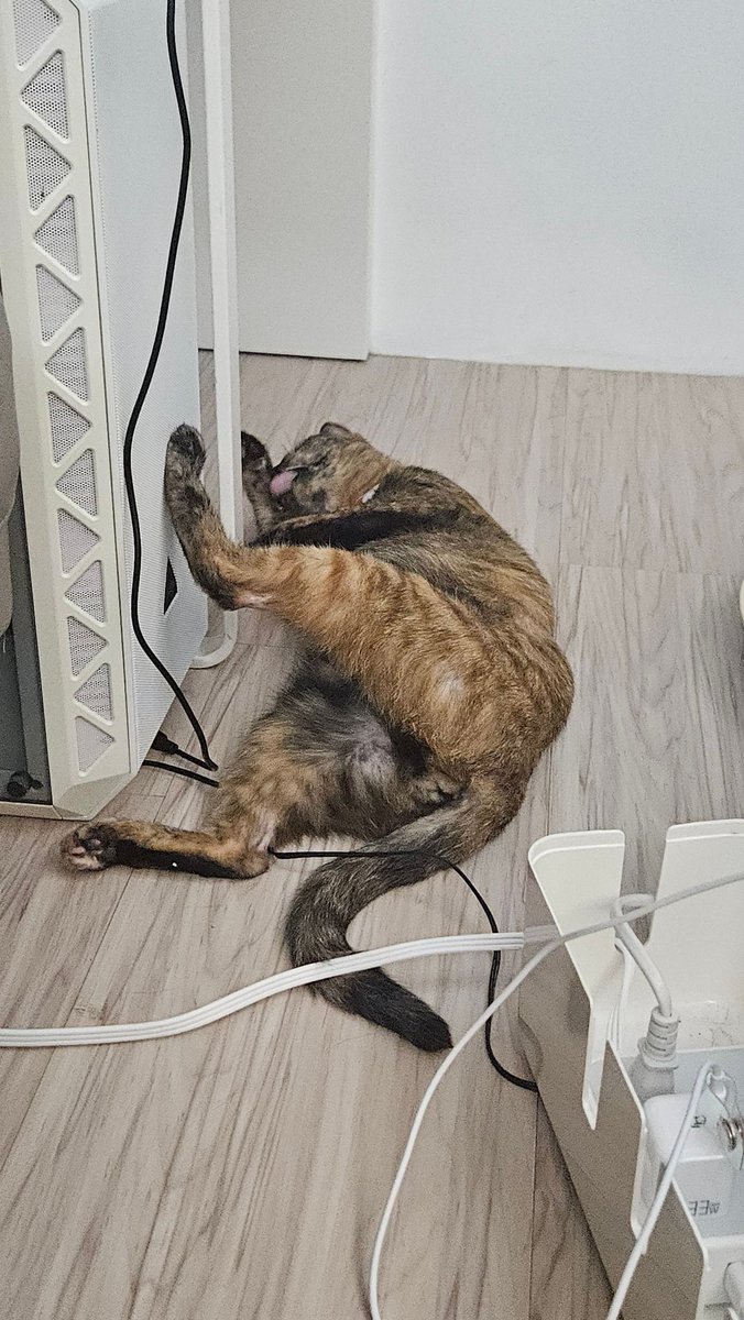 你踩我主機幹嘛