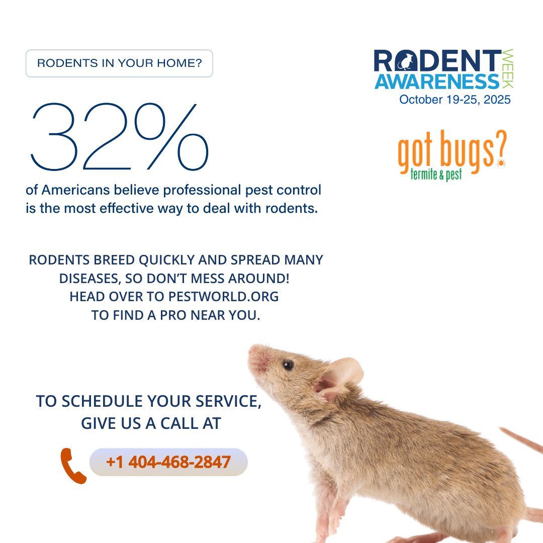 GotBugsTPS's tweet image. Health Risks &amp;amp; Breeding
⚠️ Rodents breed fast and spread diseases—don’t mess around! Protect your family’s health this Rodent Awareness Week (Oct 19–25).
🔎 Find a pro at PestWorld.org or call us: +1 404-468-2847
#RodentAwarenessWeek #pestcontrol #gotbugs #Atlanta