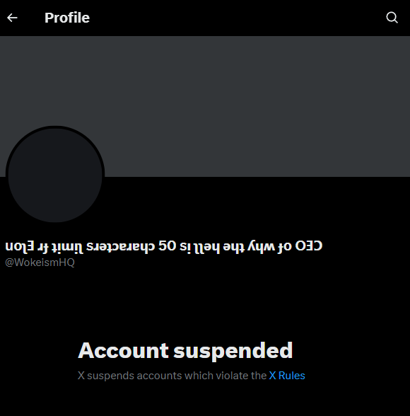 CEO of why the hell my account is locked fr Elon!! tweet media