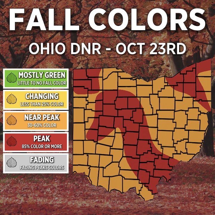‼️ 🍁 NEW FALL COLORS REPORT 🍁 ‼️

Fall foliage is near peak to peaking across Northeast Ohio! 🍂

Enjoy the vibrant colors now — the leaves will be off the trees before you know it.
Here’s the latest fall colors report from the Ohio DNR.
