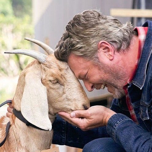 These two is so freaking cute and adorable❤️😘❤️🥰🥰❤️🥵🤤🥰🥰🥰🥰🥰🥰🥰 <a href="/8Osmercuryrog/">Feriel</a> <a href="/katrosereeves/">Katherine I❤️WWDITS I love The Walking Dead</a> #BlakeShelton