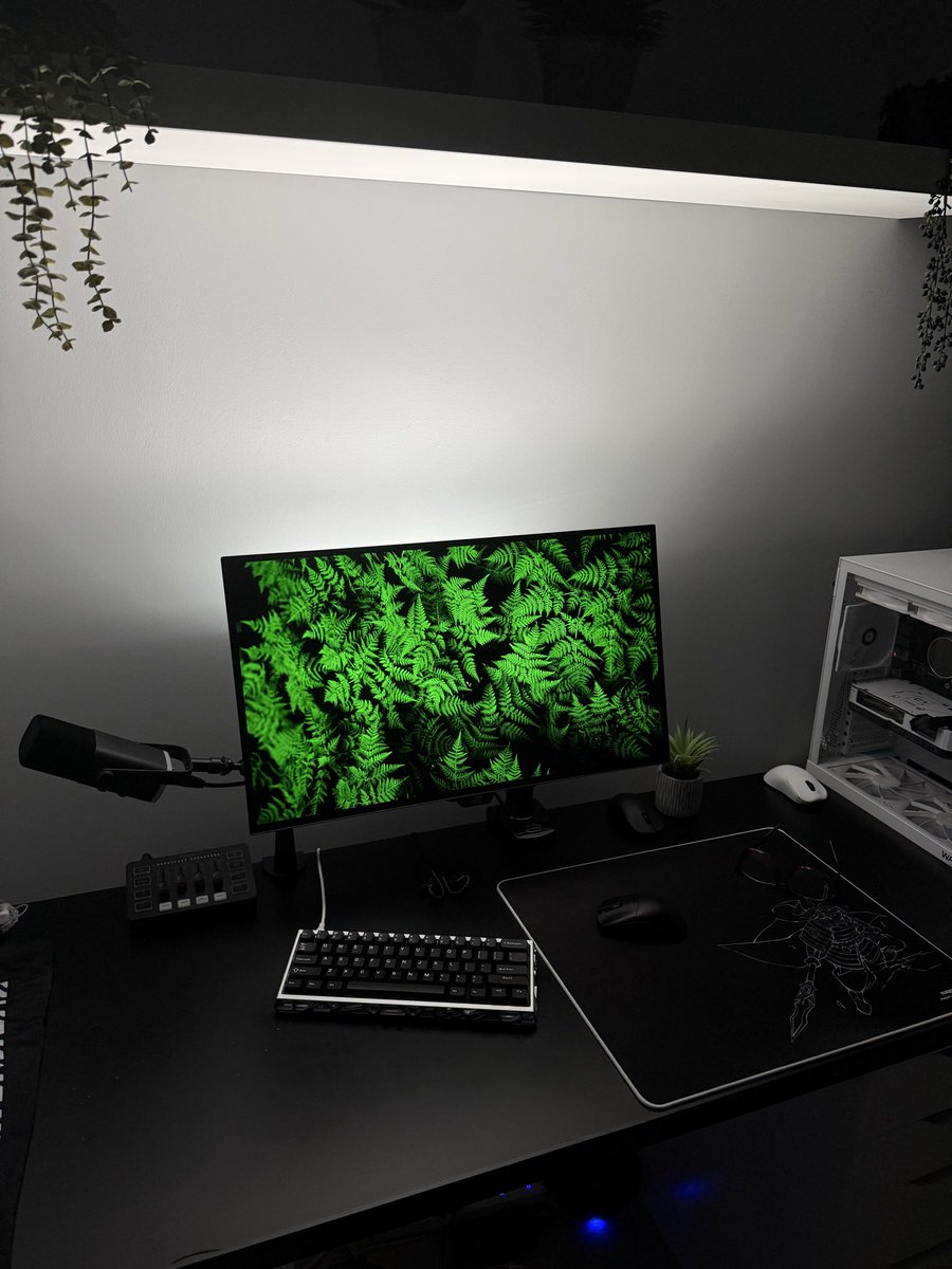 wxvesetup's tweet image. Nature 🍀

#desksetup