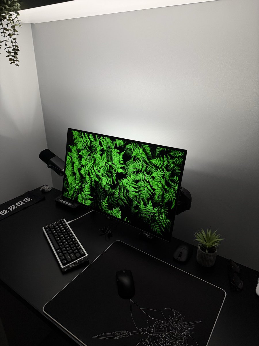 wxvesetup's tweet image. Nature 🍀

#desksetup