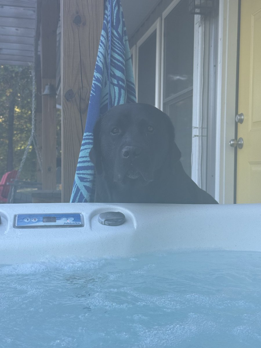 Lake Boss 🚤🐟🐕‍🦺🇺🇸 tweet media
