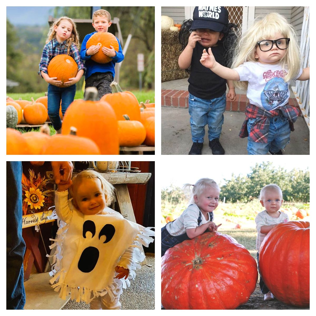 RealtorStieg's tweet image. The fall spooky harvesty pumpkinish time is here! - mailchi.mp/ab27db08fbcb/6…