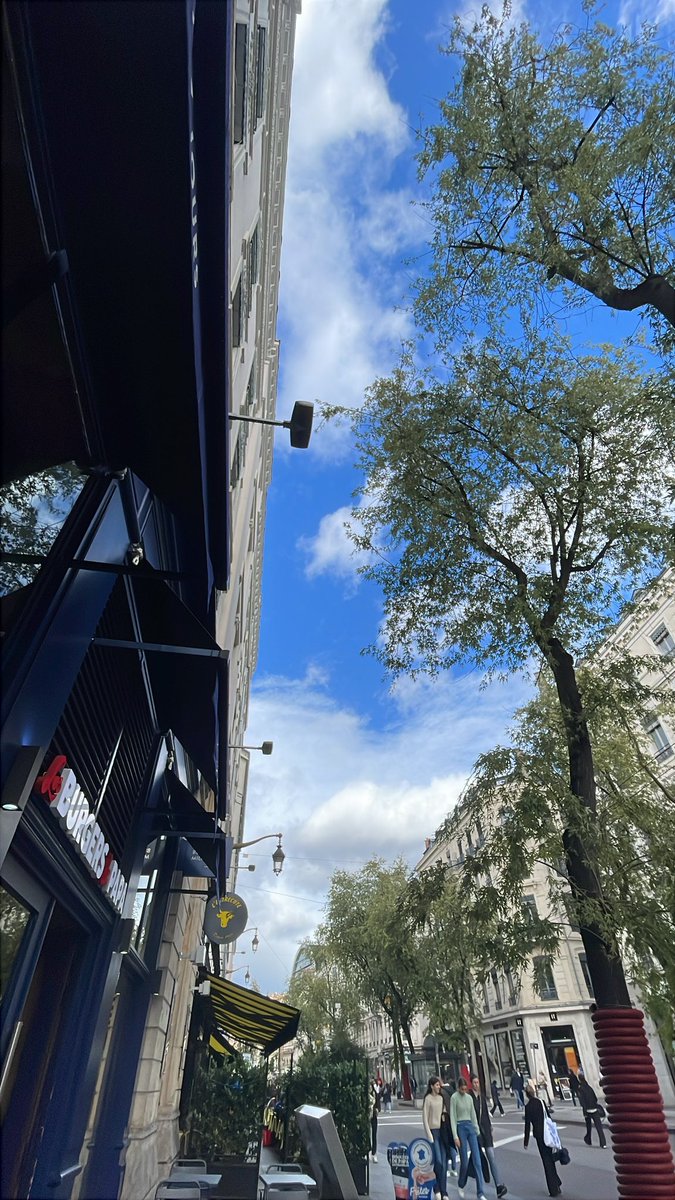 …📸 de la zone interdite… 🫣😱 #rotblaulive