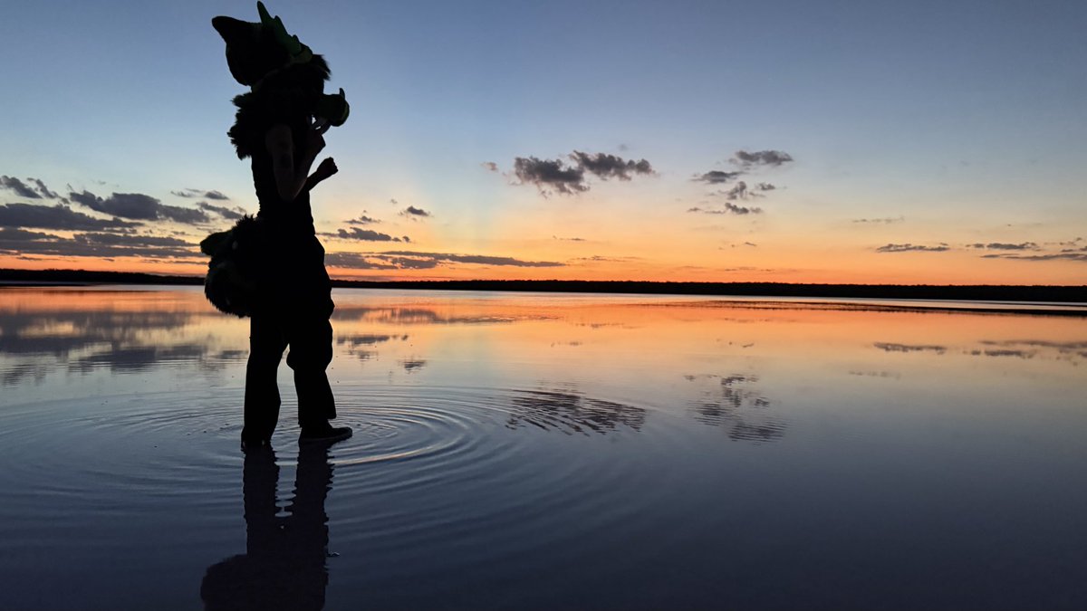 Jerry!!! tweet media