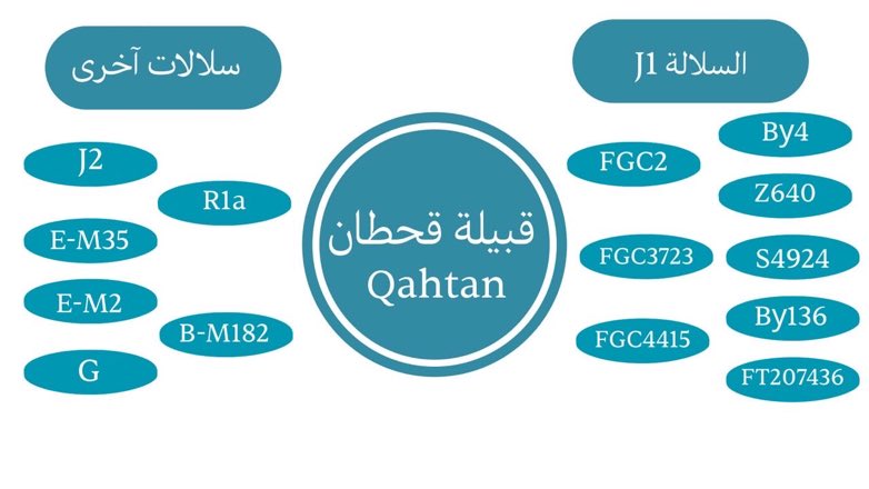 الحمادي ⚔️ tweet media