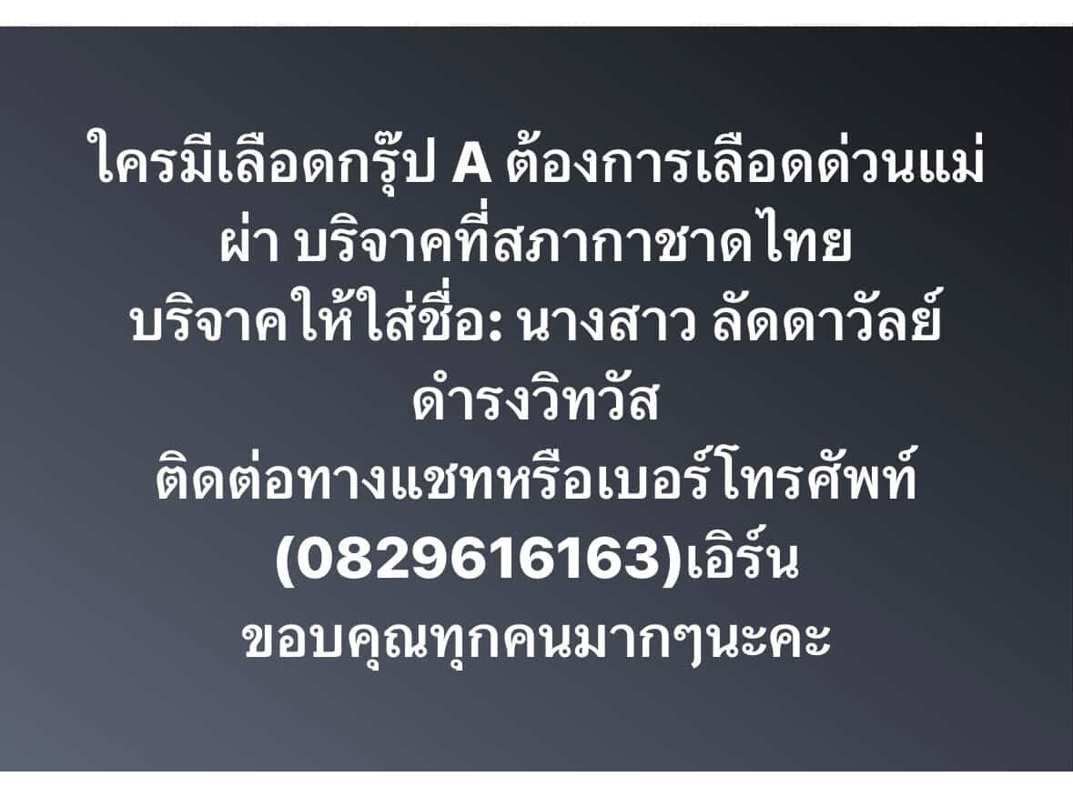 Tweet media one