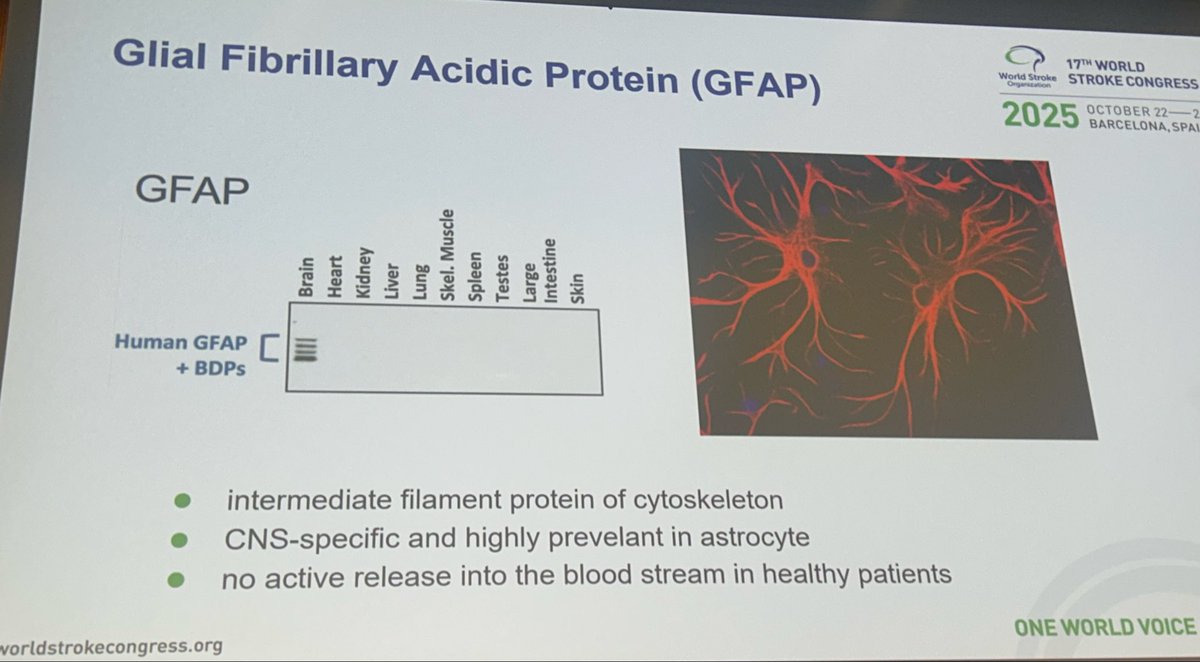 WorldStrokeEd's tweet image. #WSC2025

🚑Prehospital ICH care &amp;amp; GFAP! 

#COMA and #DETECT studies
