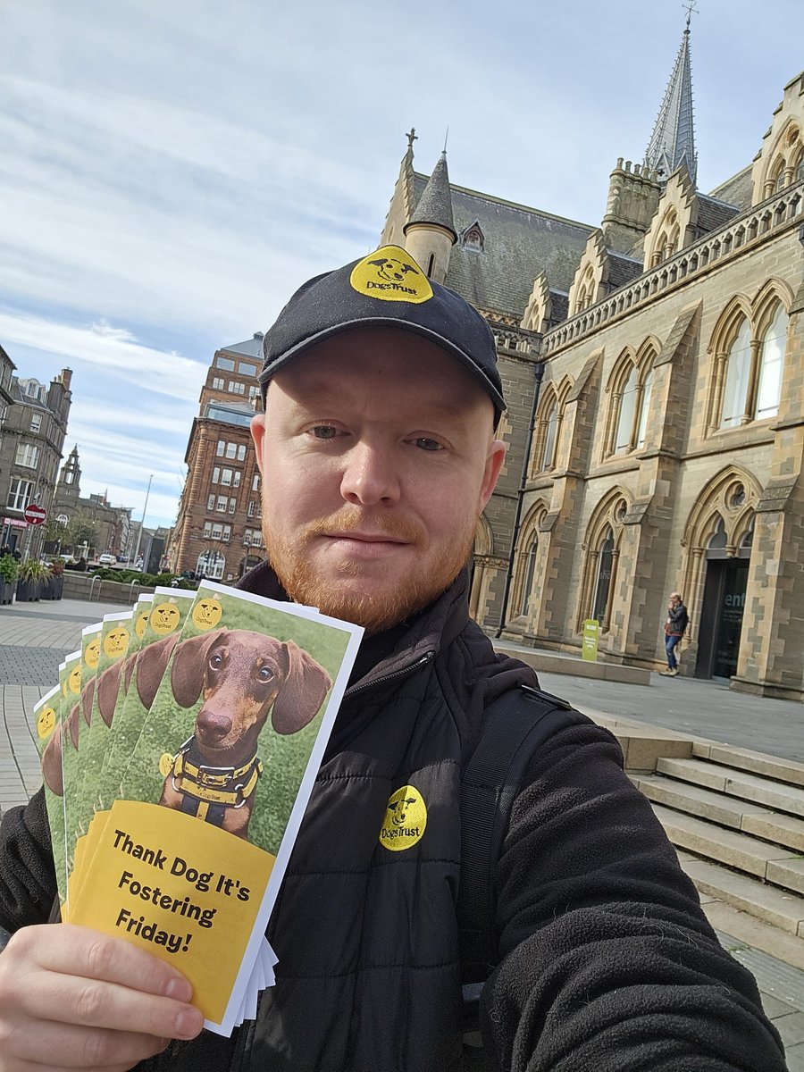 DT_Dundee_'s tweet photo. 🐾 Thank Dog It’s Fostering Friday is nearly here! 💛

We’ll be at The Bach Bistro, Dundee, on Fri 7 Nov, 11am–12pm, chatting all things fostering ☕🐶

We’re out in Dundee today with posters and leaflets, if you spot us, come and say hello! 👋

#TDIFF #FosterADog https://t.co/qyXPpfWczR