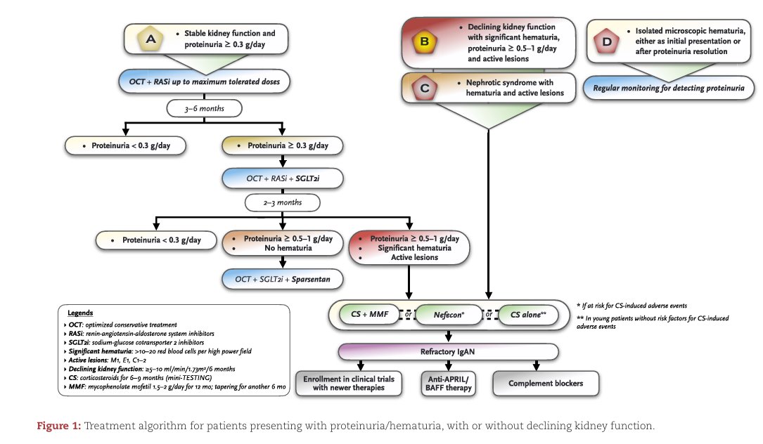 NDTsocial's tweet photo. Tailored management strategies for IgA nephropathy based on clinical presentations

https://t.co/YmkqOUFaPH https://t.co/Kuyzb5fB98