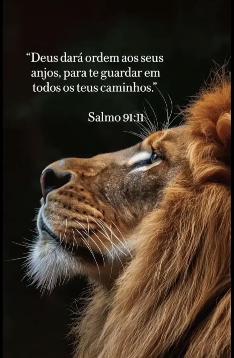 VivendoJesus (@vivendojesus77) on Twitter photo 