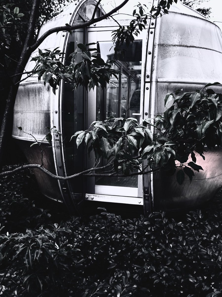 Emma (@sqnq_si3_7et) on Twitter photo 