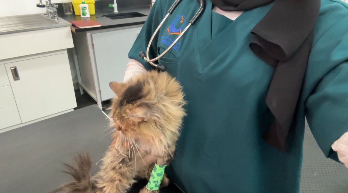 _wt73's tweet image. Weak 5