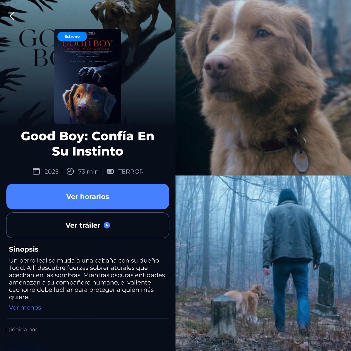 Cerebros tweet media