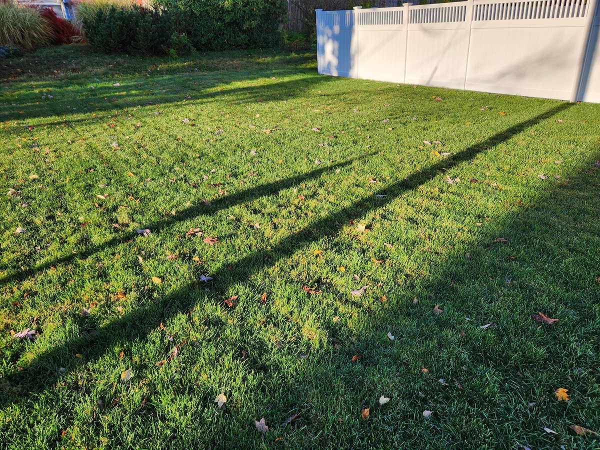 The last several days have brought much needed rain.  Nice to see the turf getting proper hydration before dormancy!