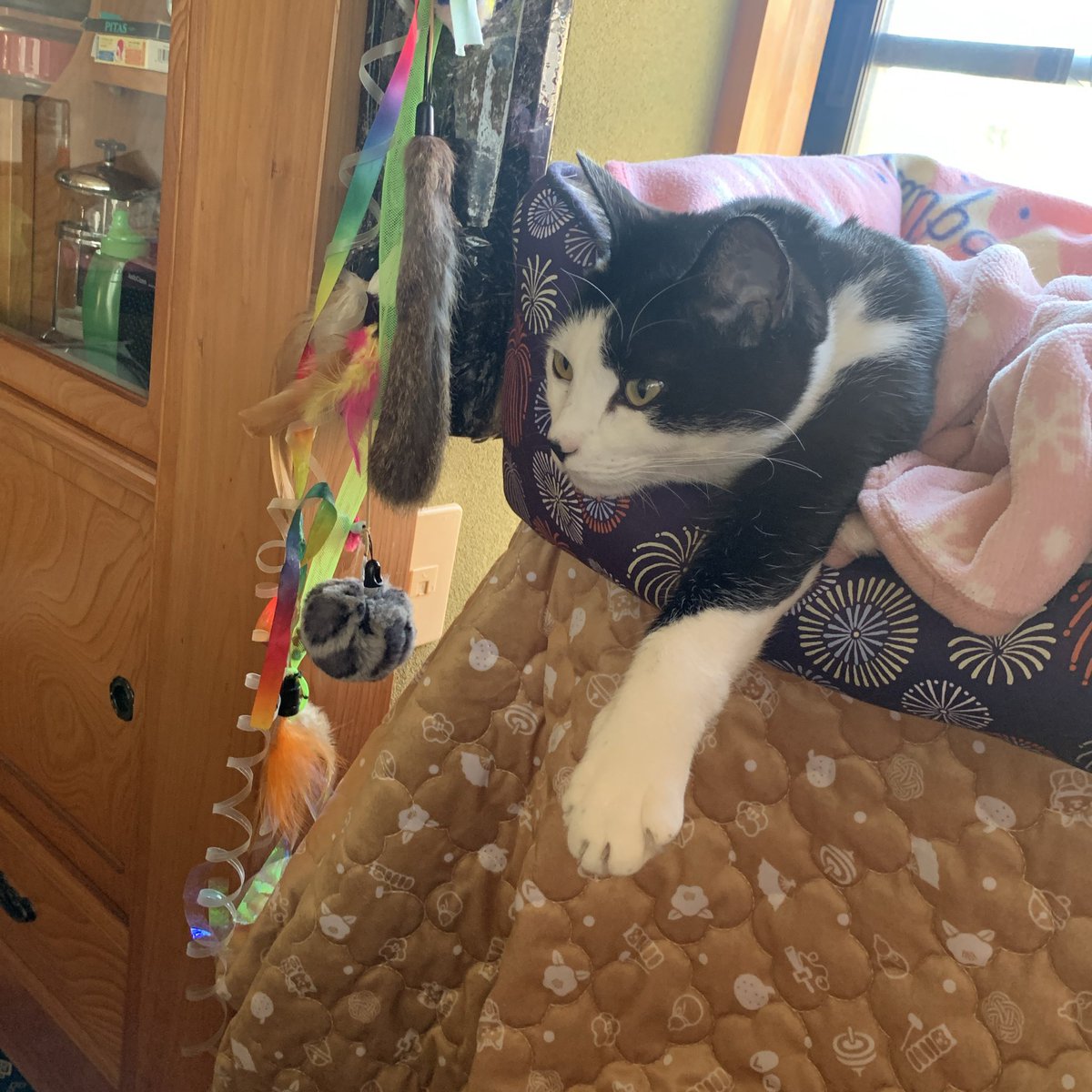 ꒰⑅ᐢ. ̫.ᐢ꒱♡ Lisa👹🧧 (@a930384) / Posts / X