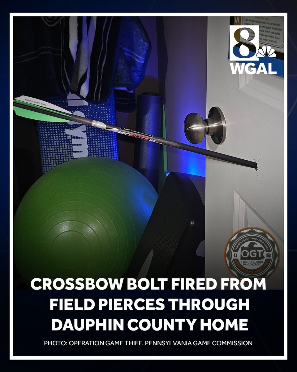 WGAL's tweet photo. The Pennsylvania Game Commission is investigating an incident in Dauphin County where a crossbow bolt was fired through a home window, piercing an interior door.
#panews #gamecommission #crossbow #dauphin https://t.co/m7gPjhiMQN