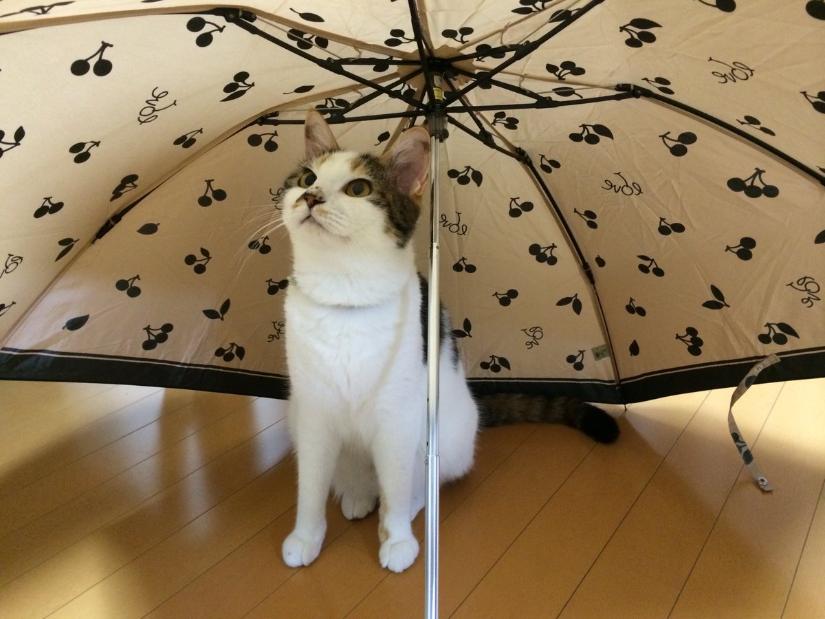 まだまだメソメソすっかんな！