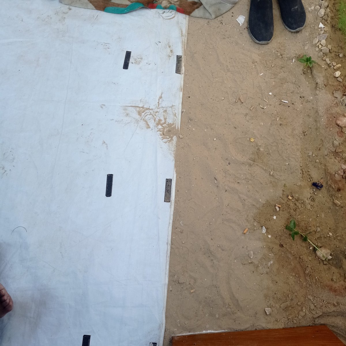 nour_emad3322's tweet image. Look at what we sleep on in our tent… We are human beings just like you. This situation is unbearable. Please, we are in a very bad condition. 🙏🏻😓💔🙏🏻🙏🏻🙏🏻
chuffed.org/project/httpsc…