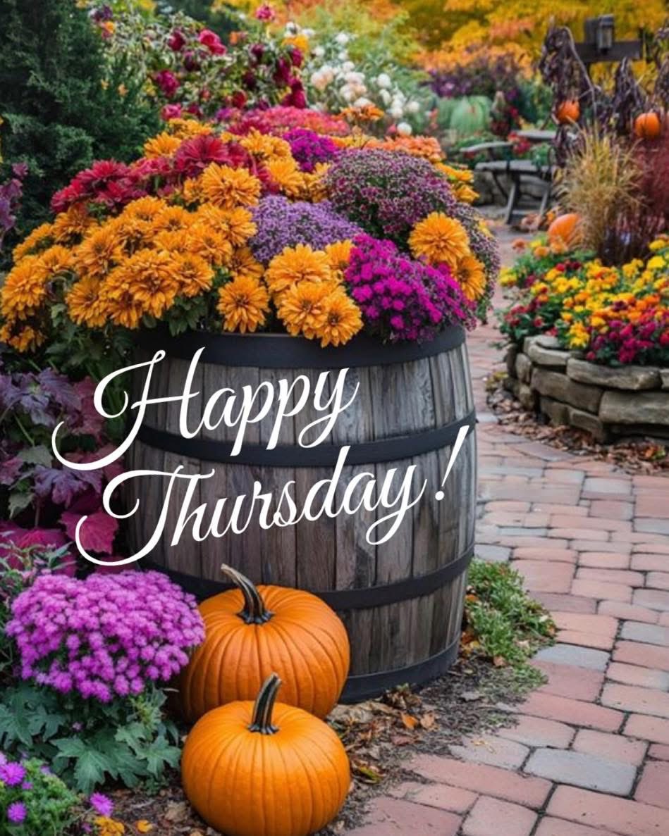 Barbara (@bl8brynn) on Twitter photo Good morning <a href="/Sandy_6971/">Sandy_6971๐จ๐ฆโค๏ธ๐ฎ๐น</a> Hope you have a terrific Thursdayโ๏ธโ๏ธ๐ค๐ฅฐ๐๐ Good morning <a href="/Sandy_6971/">Sandy_6971๐จ๐ฆโค๏ธ๐ฎ๐น</a> Hope you have a terrific Thursdayโ๏ธโ๏ธ๐ค๐ฅฐ๐๐