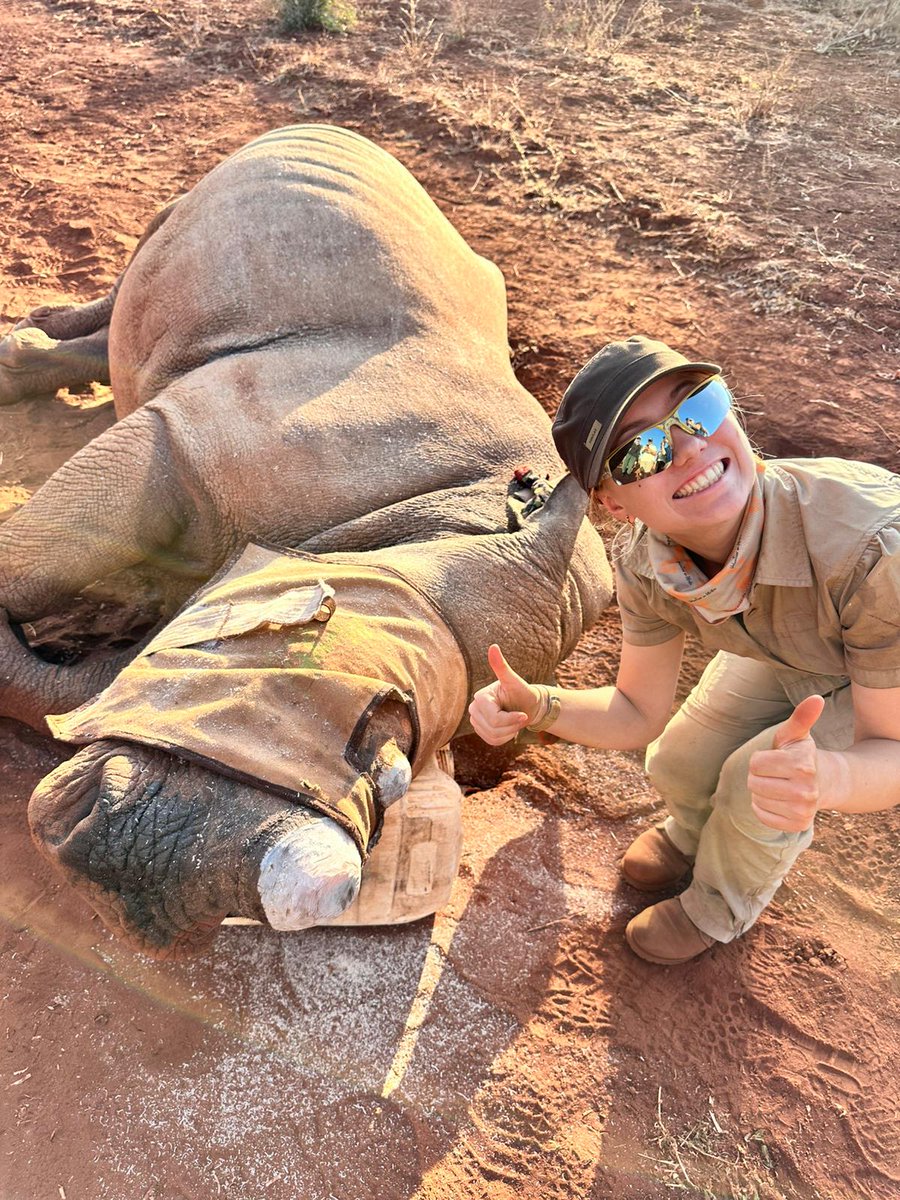 WorldwideVets's tweet photo. The Kruger Wildlife Project is your front row seat to real world wildlife management on a working reserve in the greater Kruger area of South Africa 🐘🦁

Perfect for anyone passionate about zoology, wildlife conservation or game park management!

🔗 https://t.co/6NacS2uxTj https://t.co/qtwSCd8y0t