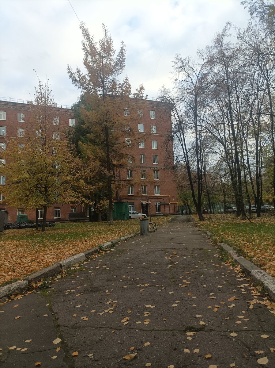 Musatu (@musaa_tu) on Twitter photo 