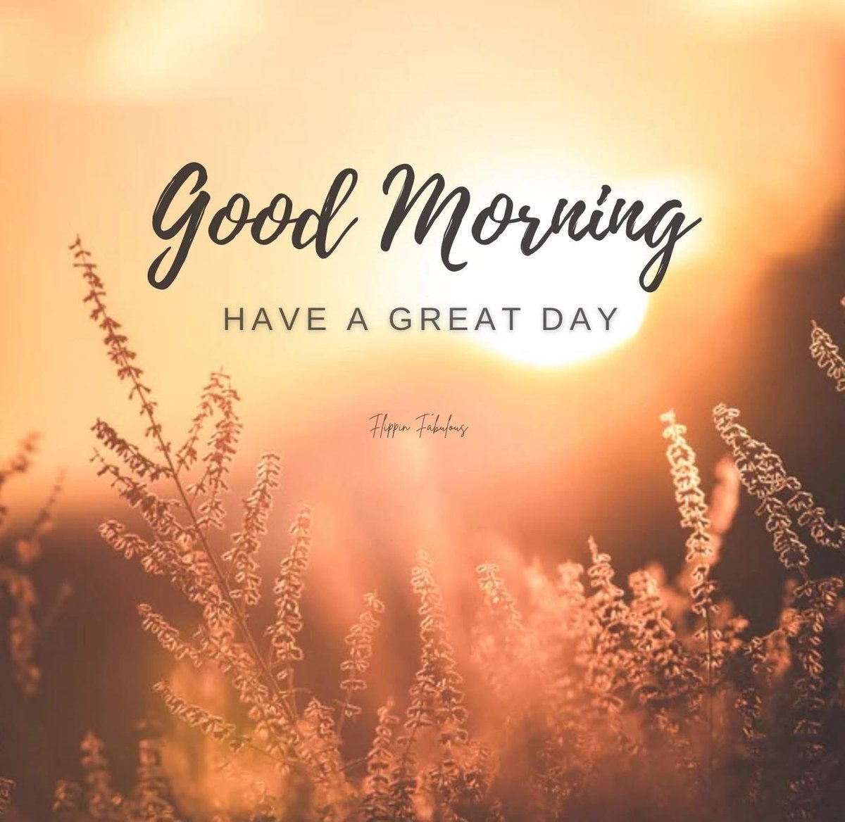 Good Morning Everyone! Happy Thursday☀️☕️😊🍁