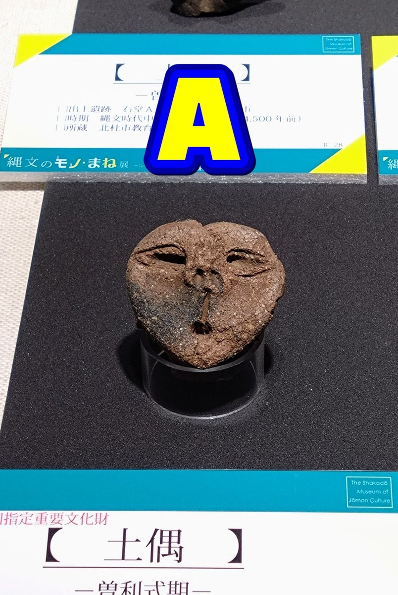 釈迦堂遺跡博物館 on X