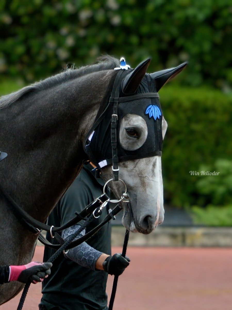 金船 (@0306mailbox) / Posts / X