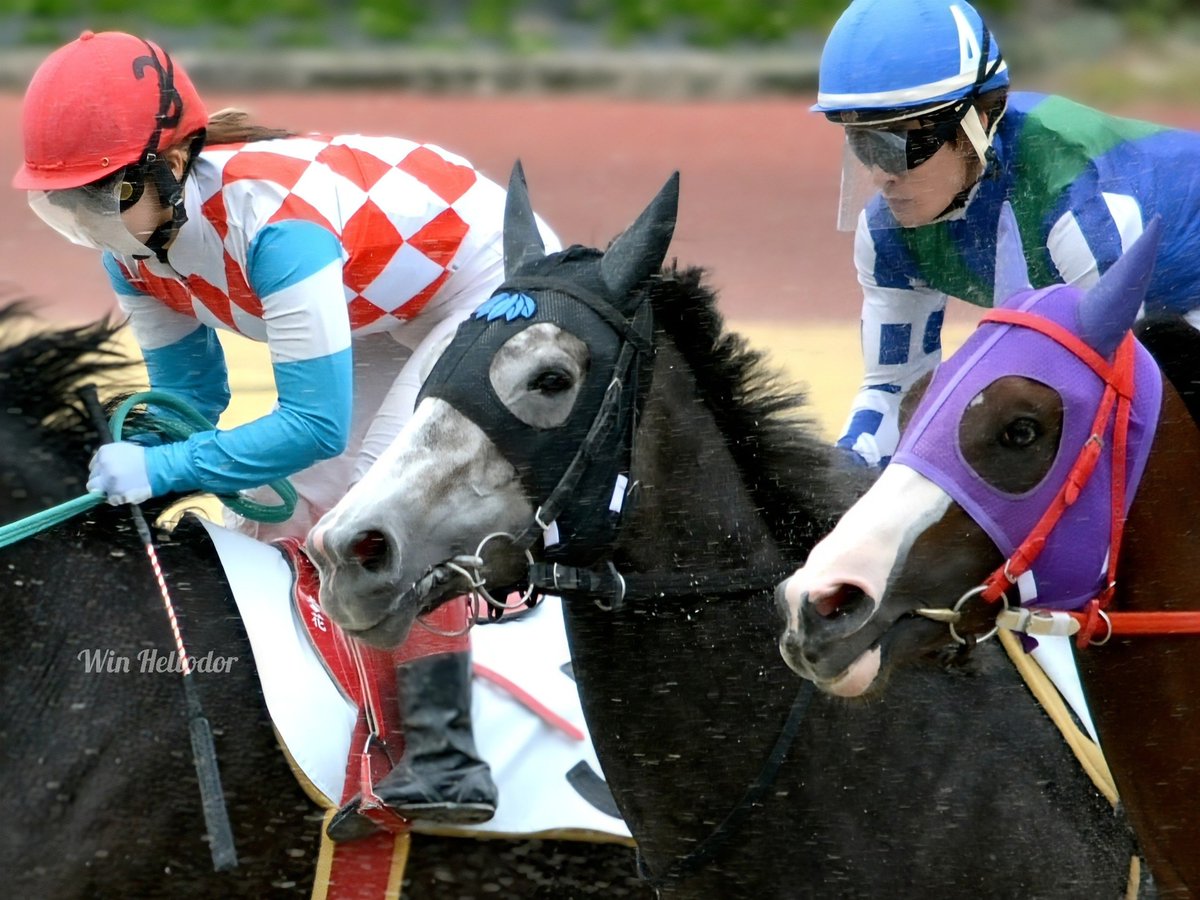 金船 (@0306mailbox) / Posts / X