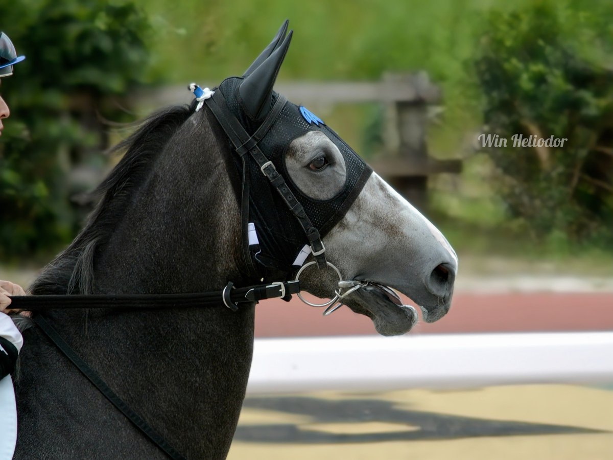 金船 (@0306mailbox) / Posts / X