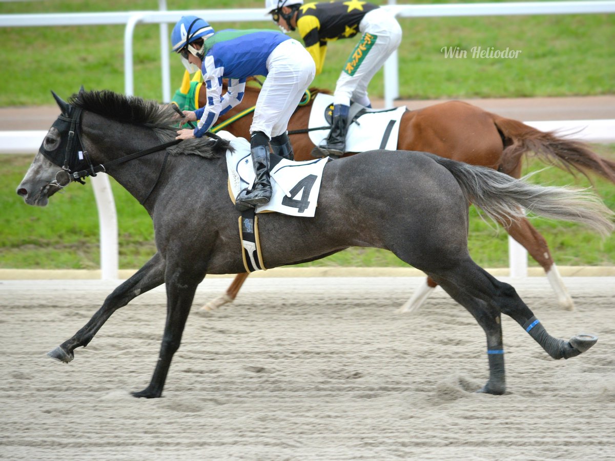 金船 (@0306mailbox) / Posts / X