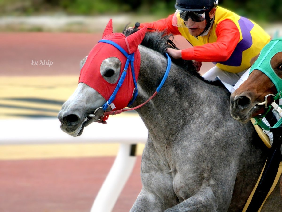 金船 (@0306mailbox) / Posts / X