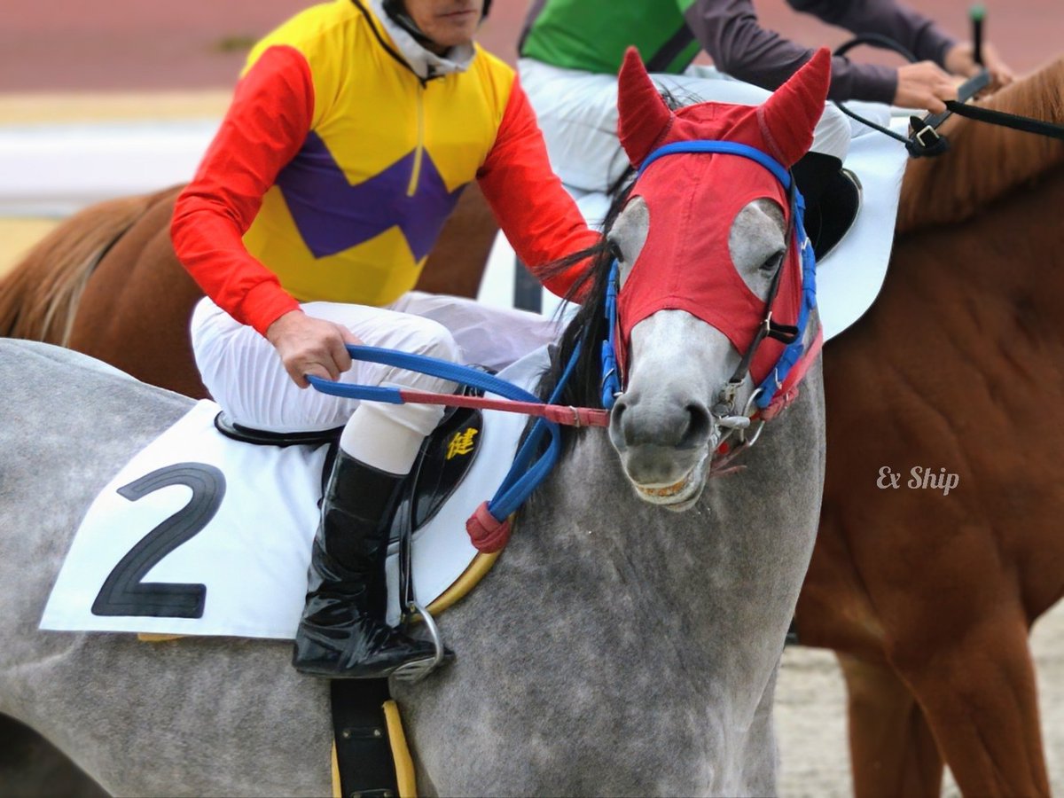 金船 (@0306mailbox) / Posts / X