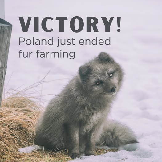 Ellie CG (@elliecg11) on Twitter photo 