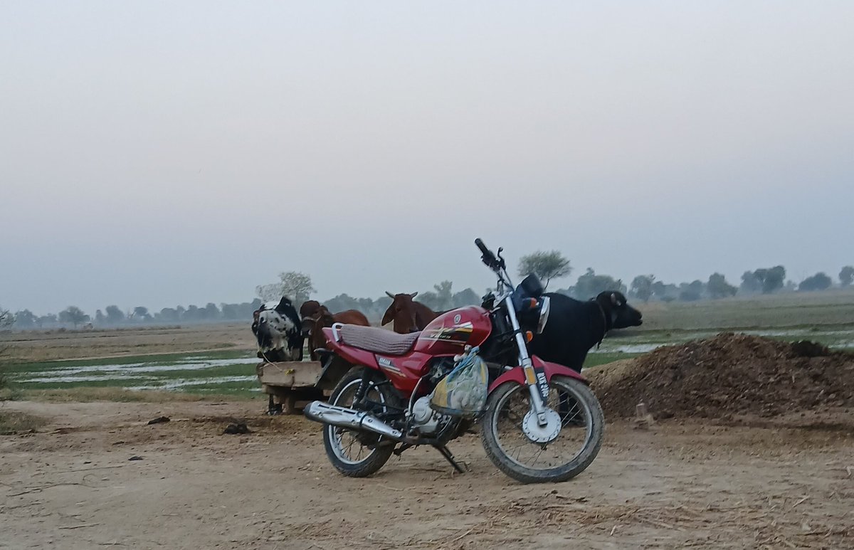 شام کے منظر میں تحلیل شدہ