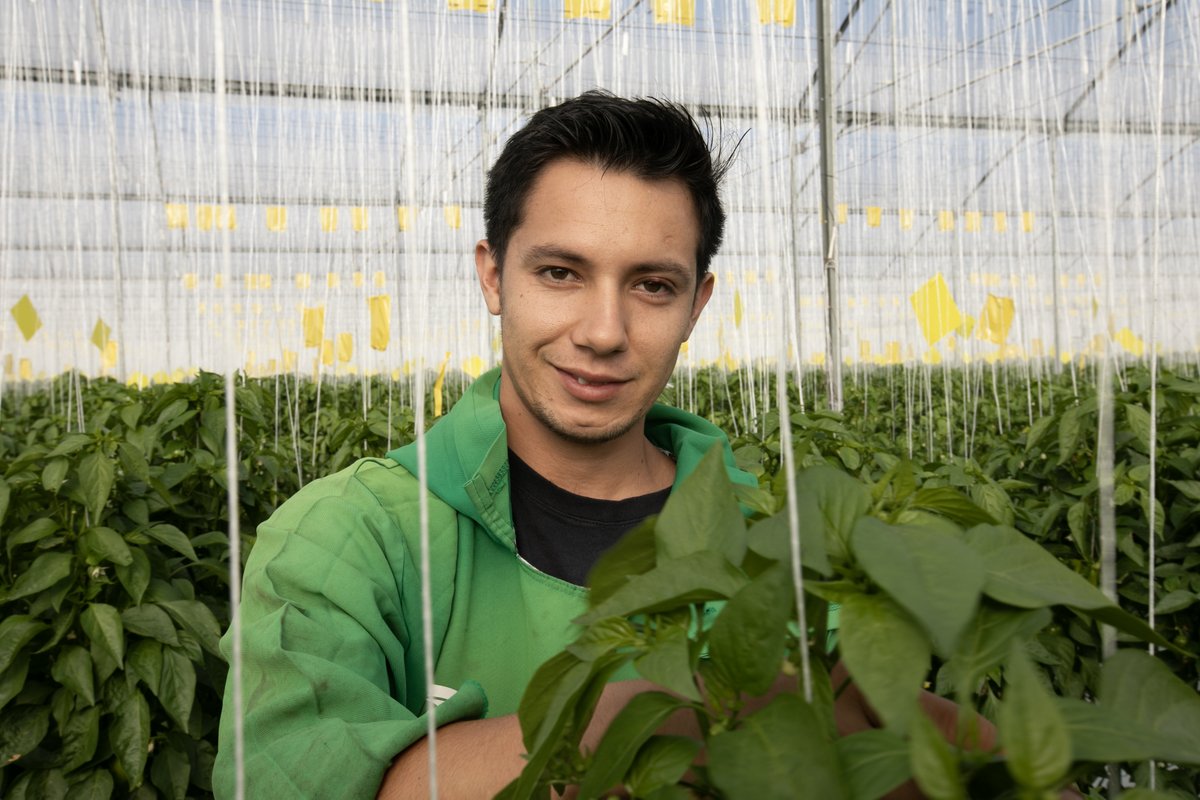 Growth, yes — but not at the cost of the planet.

Through Productivity Ecosystems for Decent Work, we're rethinking how productivity and sustainability can reinforce each other, not compete. And what a just transition looks like in practice.

➡️ More here: adestra.ilo.org/q/1cHd5sqvLDSL…