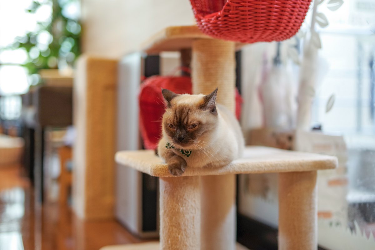 atushiページ Atsushiページ atsushiページ atsushiページ すしページ すし