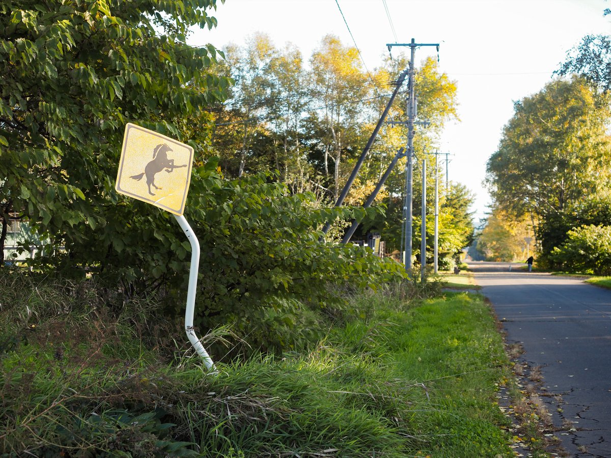 【 クマさん ご確認用 】 Billy on X