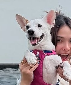 ฮือออออ หมูปิ้งน่ารัก 🥹