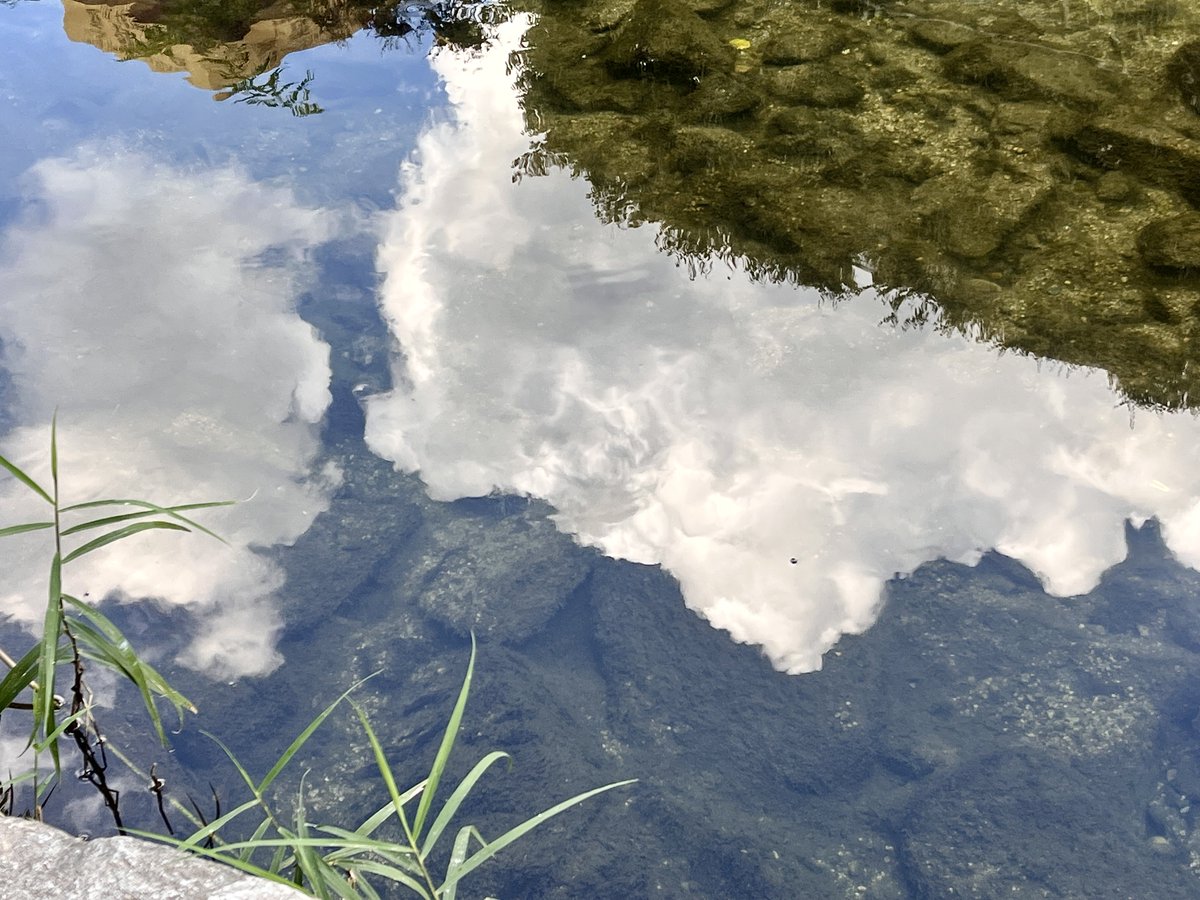 아직 청계천 빵커독의 계절이 지나지 않았다....
소금빵 한입에 감동받고..
커피로 싹 내려주고...
햇살이랑 바람에 흠뻑 젖고..
한장한장 책장 넘기고..
너무너무 행복해 행복이 나에게 오길 바라는 건 수동적인 바람이니 내가 저벅저벅 행복에게로 간다